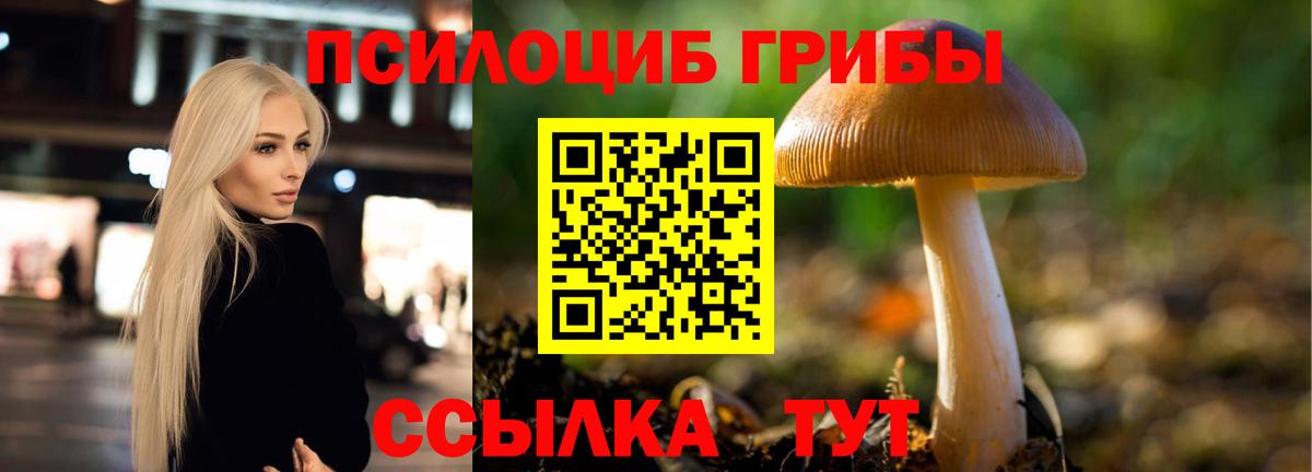 Псилоцибиновые грибы Cubensis Можга