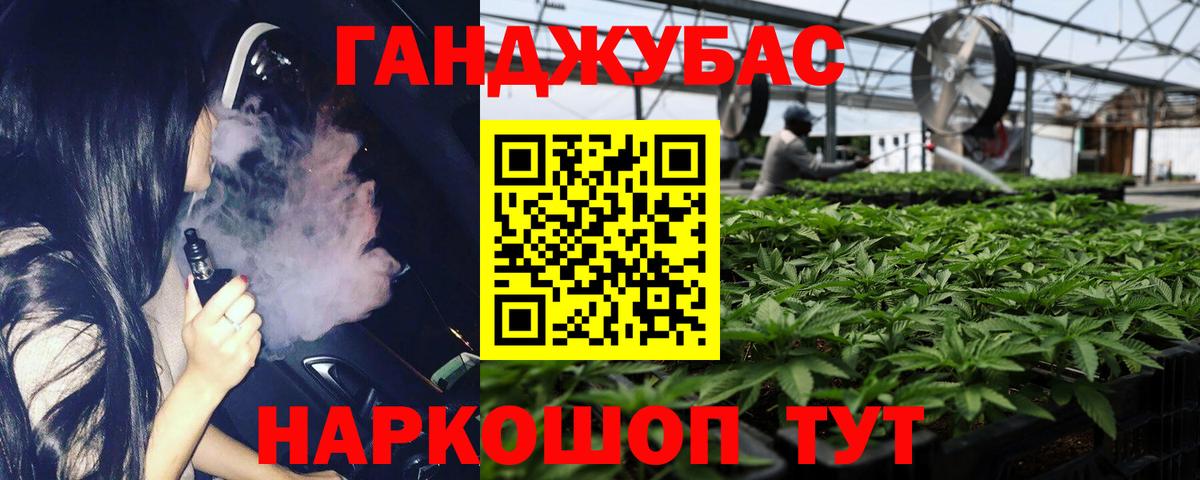 Бошки Шишки семена Можга